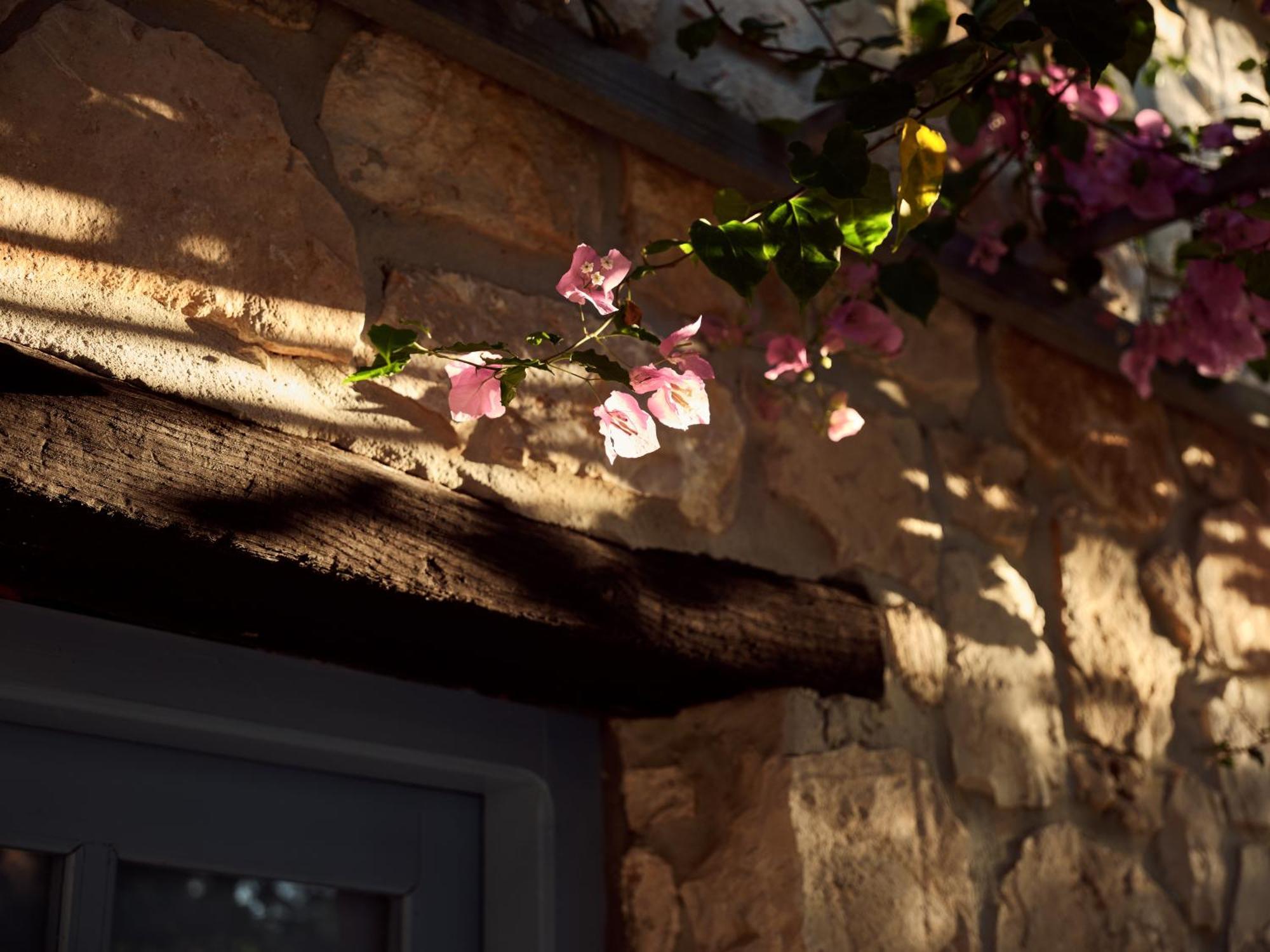 Strofilia Stone Residences Volímai エクステリア 写真